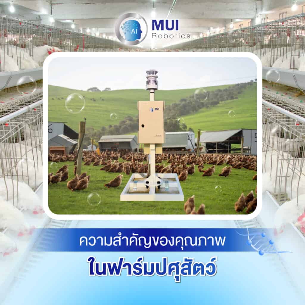 ความสำคัญของคุณภาพในฟาร์มปศุสัตว์