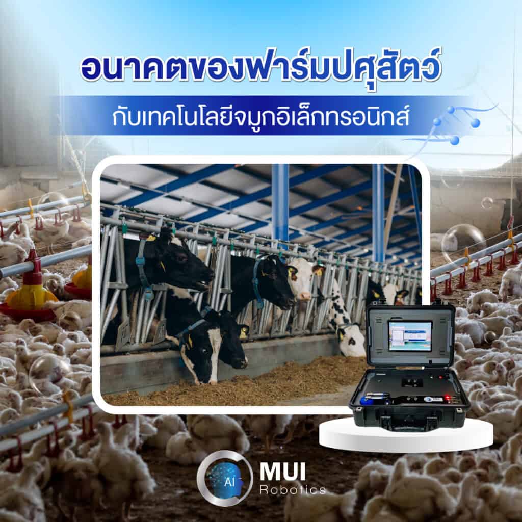 อนาคตของฟาร์มปศุสัตว์กับจมูกอิเล็กทรอนิกส์
