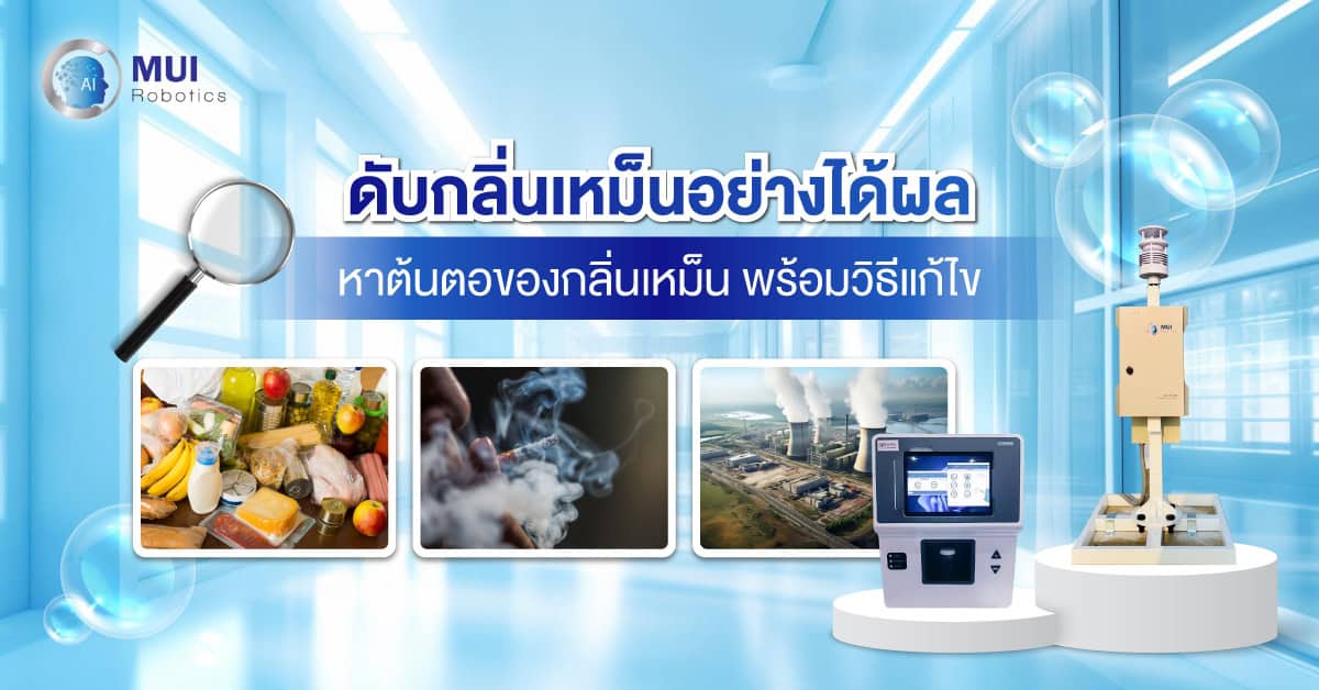 ดับกลิ่นเหม็นอย่างได้ผล หาต้นตอของกลิ่นเหม็น พร้อมวิธีแก้ไข