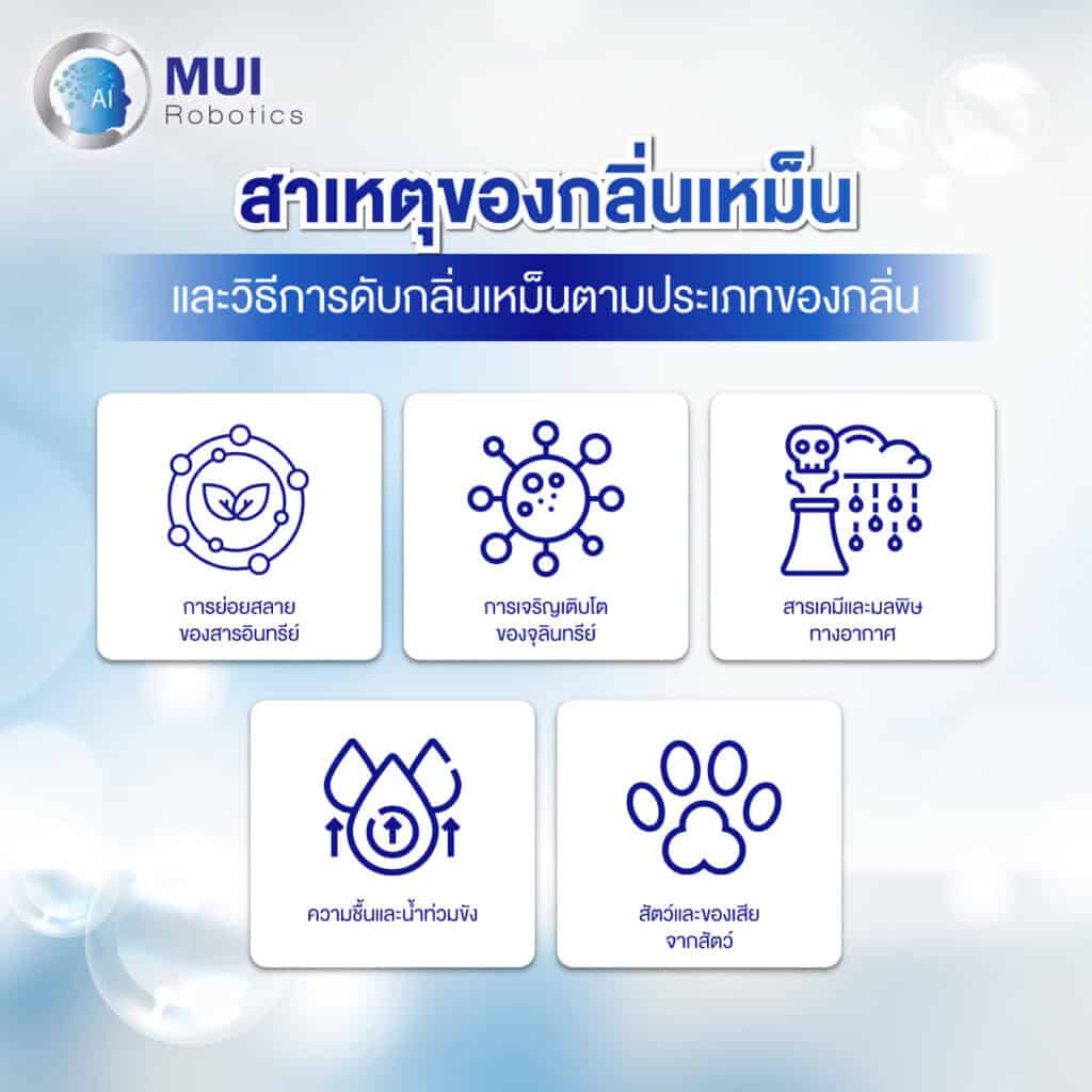 สาเหตุของกลิ่นเหม็น และวิธีการดับกลิ่นเหม็นตามประเภทของกลิ่น